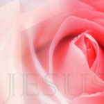 Thumbnail image for Grieving with Hope