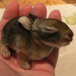 Thumbnail image for Life is not Fair