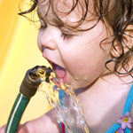 Thumbnail image for Beauty is God’s Handwriting