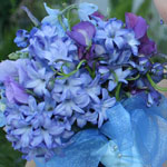 Thumbnail image for 31 Days: Blue Delphinium Bouquet {Day 8}