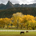 Thumbnail image for Happy Thanksgiving