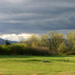 Thumbnail image for His Mercies are New Every Morning