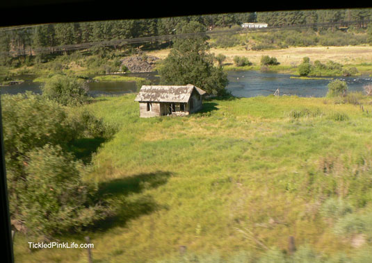 Go by train abandoned shack next to stream