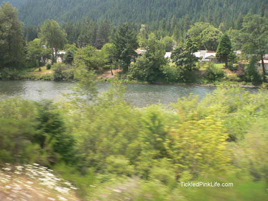 travel by train along country stream