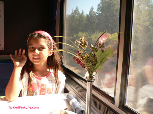 go by train eating in the dining car on Amtrak