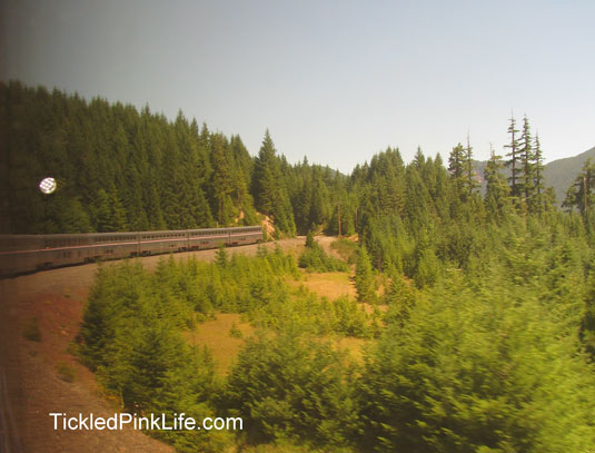 Traveling by train on Amtrak making mountain turn